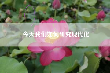 今天我们如何研究现代化