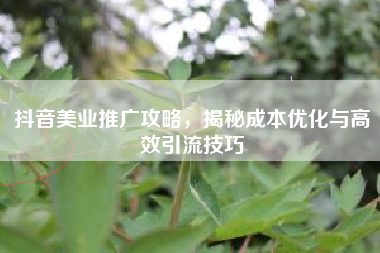 抖音美业推广攻略，揭秘成本优化与高效引流技巧