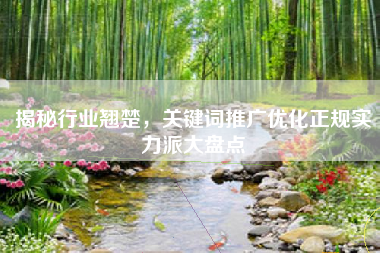 揭秘行业翘楚，关键词推广优化正规实力派大盘点