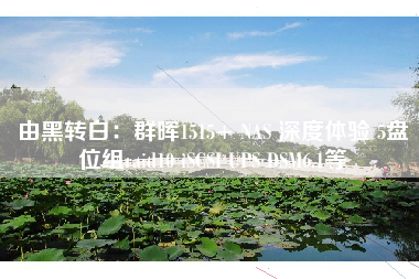 由黑转白：群晖1515+ NAS 深度体验 5盘位组raid10 iSCSI UPS DSM6.1等