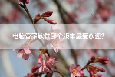 电脑管家软件哪个版本最受欢迎？