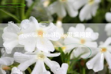 typecho - html和php混编问题