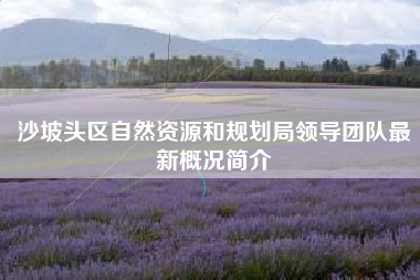 沙坡头区自然资源和规划局领导团队最新概况简介