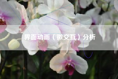 界面动画（微交互）分析
