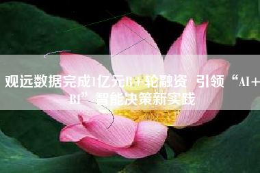 观远数据完成1亿元B+轮融资  引领“AI+BI”智能决策新实践