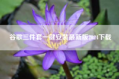 谷歌三件套一键安装最新版2024下载