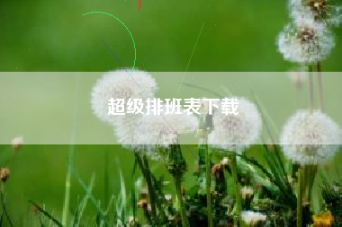 超级排班表下载