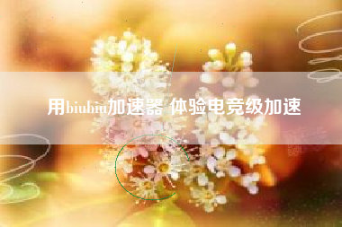 用biubiu加速器 体验电竞级加速 用biubiu加速器 体验电竞级加速