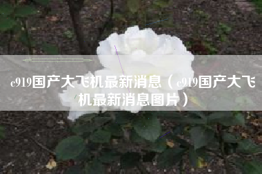 c919国产大飞机最新消息（c919国产大飞机最新消息图片）