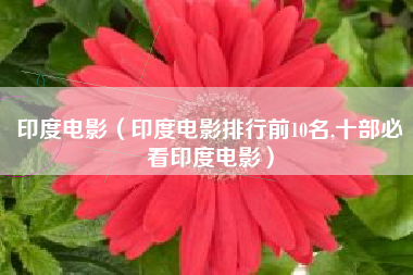 印度电影（印度电影排行前10名,十部必看印度电影）