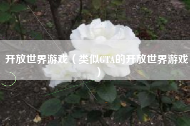 开放世界游戏（类似GTA的开放世界游戏）