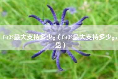 fat32最大支持多少g（fat32最大支持多少gu盘）