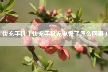 快充手机（快充手机充电慢了怎么回事）