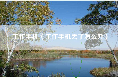 工作手机（工作手机丢了怎么办）