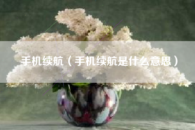 手机续航（手机续航是什么意思）