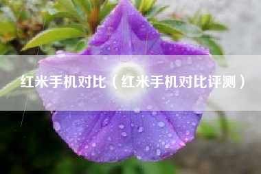 红米手机对比（红米手机对比评测）