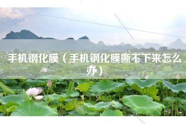 手机钢化膜（手机钢化膜撕不下来怎么办）