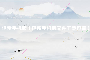 迅雷手机版（迅雷手机版文件下载位置）