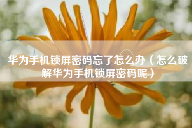 华为手机锁屏密码忘了怎么办（怎么破解华为手机锁屏密码呢）