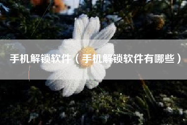 手机解锁软件（手机解锁软件有哪些）