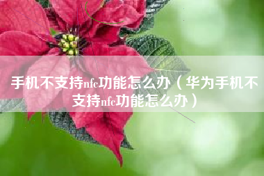 手机不支持nfc功能怎么办（华为手机不支持nfc功能怎么办）