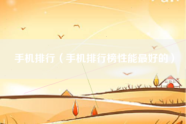 手机排行（手机排行榜性能最好的）