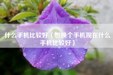 什么手机比较好（想换个手机现在什么手机比较好）