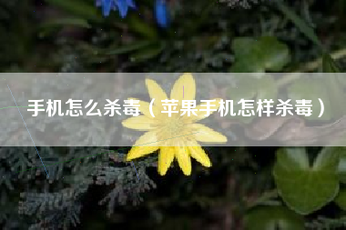手机怎么杀毒（苹果手机怎样杀毒）