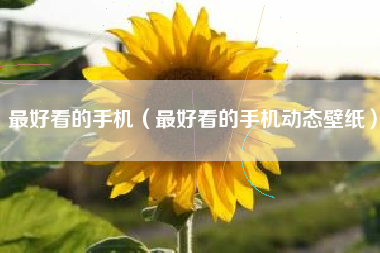 最好看的手机（最好看的手机动态壁纸）