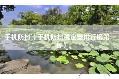 手机防抖（手机防抖稳定器排行榜第一名）
