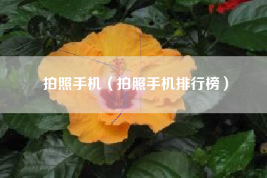 拍照手机（拍照手机排行榜）