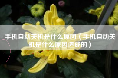 手机自动关机是什么原因（手机自动关机是什么原因造成的）