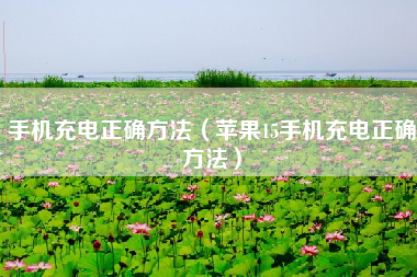 手机充电正确方法（苹果15手机充电正确方法）
