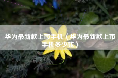 华为最新款上市手机（华为最新款上市手机多少钱）