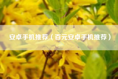 安卓手机推荐（百元安卓手机推荐）