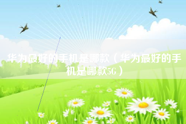 华为最好的手机是哪款（华为最好的手机是哪款5G）