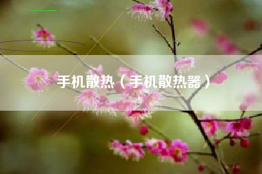 手机散热（手机散热器）