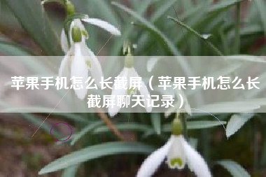 苹果手机怎么长截屏（苹果手机怎么长截屏聊天记录）