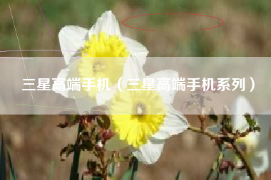 三星高端手机（三星高端手机系列）