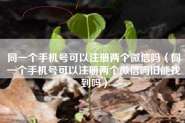 同一个手机号可以注册两个微信吗（同一个手机号可以注册两个微信吗旧能找到吗）