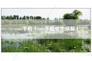 voto手机（voto手机电池修复）