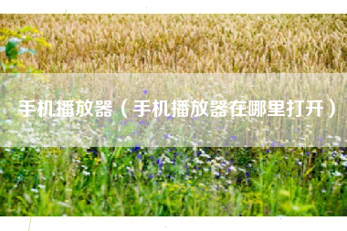 手机播放器（手机播放器在哪里打开）