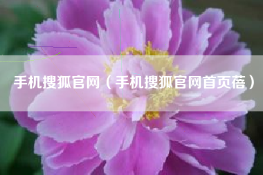 手机搜狐官网（手机搜狐官网首页蓓）