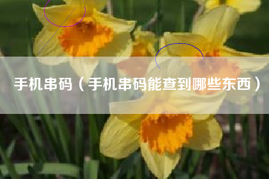 手机串码（手机串码能查到哪些东西）