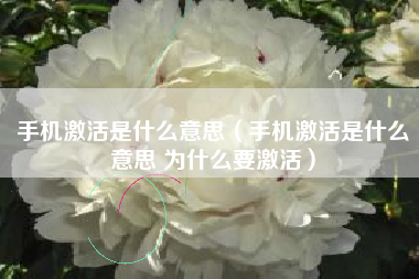 手机激活是什么意思（手机激活是什么意思 为什么要激活）