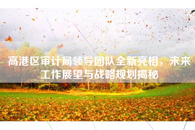 高港区审计局领导团队全新亮相，未来工作展望与战略规划揭秘