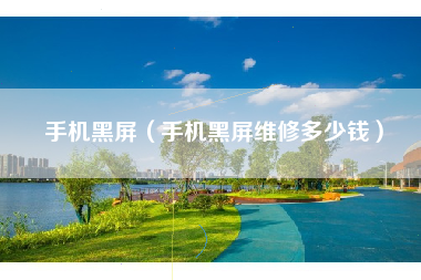 手机黑屏（手机黑屏维修多少钱）