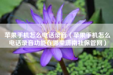 苹果手机怎么电话录音（苹果手机怎么电话录音功能在哪里济南社保管网）