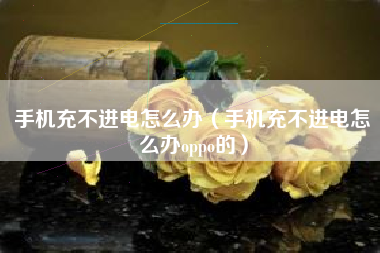 手机充不进电怎么办（手机充不进电怎么办oppo的）