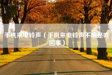 手机来电铃声（手机来电铃声不响是咋回事）